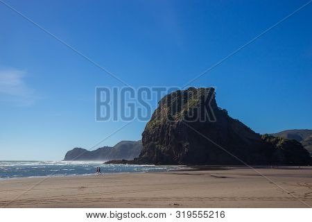 View Of Sunny Piha Beach, New Zealand