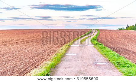 Country Road In Rural Agricultural Landscape. Red Soil Fields Around Nova Paka, Czech Republic