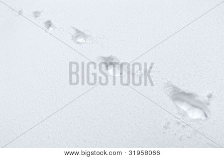 Footmarks i sneen