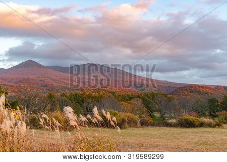 Autumn Foliage Scenery In Kayano-kogen Plateau, Aomori, Japan. Hakkoda Mountains On Background Bathe