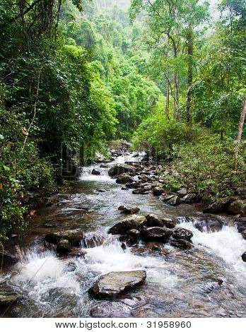 stream