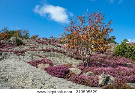 View To The Island Dyroen In Sweden.