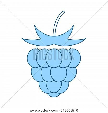 Icon Of Raspberry. Thin Line With Blue Fill Design. Vector Illustration.