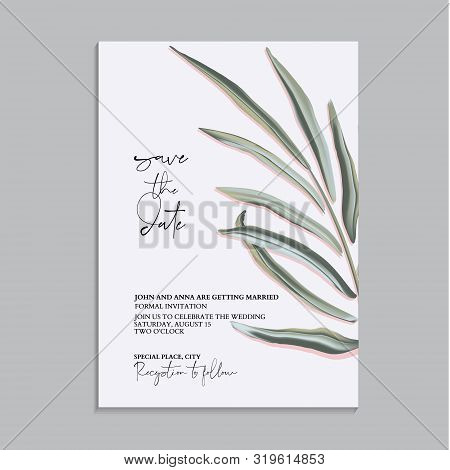 Save The Date Wedding Card Template, Vintage Style. Palm Eaf And Text Exotic Decoration. Foliage Ill