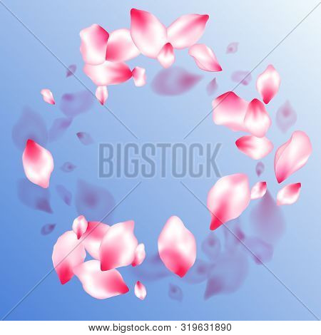 Pink Sakura Petals Confetti Flying And Falling On Blue Sky Background. Blur Effect Bloom Parts. Natu