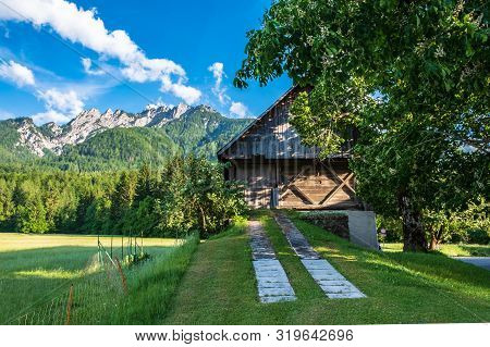 Summer Has Arrived In The Italian Alps