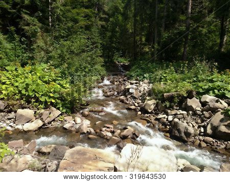 Mountain River In Green Foliar Forest With Beech Stormy Water Nature