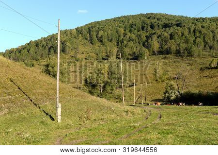 The Surroundings Of The Mountain Village Of Generalka Altai Region. Western Siberia. Russia