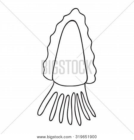 Black And White Isolated Squid Icon On White Backdrop