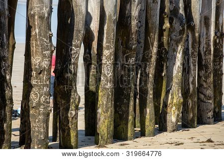Big Breakwater, 3000 Trunks To Defend The City From The Tides, Plage De L Eventail Beach In Saint-ma