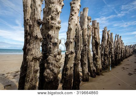 Big Breakwater, 3000 Trunks To Defend The City From The Tides, Plage De L Eventail Beach In Saint-ma