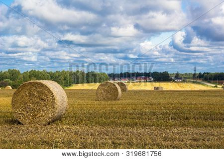 Wheatfield And Haystacks Of Wheat Of Yellow Color During Harvest.
