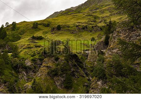 Photo Of Passo Rombo On A Gloomy Day In August With River Meadows, Pines, Pebbles And Breathtaking V