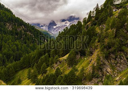 Photo Of Passo Rombo On A Gloomy Day In August With River Meadows, Pines, Pebbles And Breathtaking V