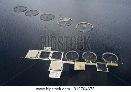 Fish Farm Salmon Sea Nets Farming At Sea Loch Tay Scotland Uk