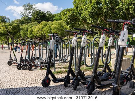 Lisbon, Portugal - 9 August 2019 - Collection Of E-scooters From Circ And Bird Waiting For Rental In