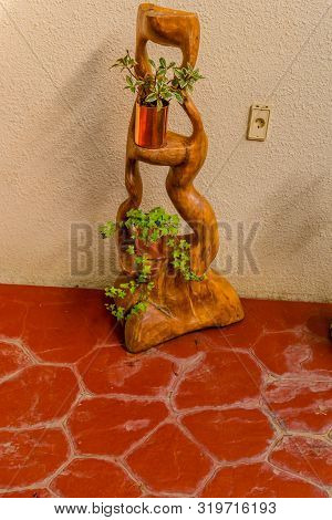 Sejong, South Korea; August 8, 2019: Collection Of Potted Plants Displayed On Stylized Wooden Shelve