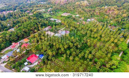 Aerial View Of Coconut Palm Trees Turquoise & Wooden Houses In Pohon Batu Village,labuan Pearl Of Bo