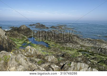 Morte Slate Rocks At Low Tide, Damage Hue, North Devon, Uk