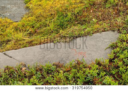 Rock Art In Alta Fjord, Norway. Ancient Symbols, Real Drawing,  Texture In Stone. Red Ocher Paint. H