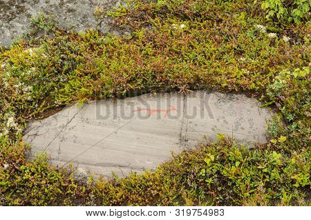 Rock Art In Alta Fjord, Norway. Ancient Symbols, Real Drawing,  Texture In Stone. Red Ocher Paint. H