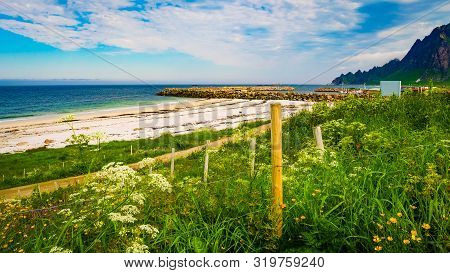 Sea Coast Sandy Beach In Resort Bleik Andoya Norway