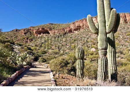 Pfad zum Tonto National monument