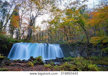 Choshi Otaki Falls ( Oirase Stream ) In Sunny Day, Beautiful Fall Foliage Scene Autumn Colors. Fores
