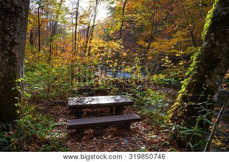 Wooden Bench In The Forest, Beautiful Fall Foliage Scene In Autumn Colors. Flowing River, Fallen Lea