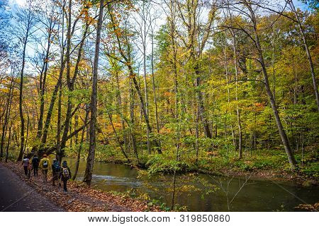 Oirase Stream, Beautiful Fall Foliage Scene Autumn Colors. Famous And Popular Destinations. Flowing 