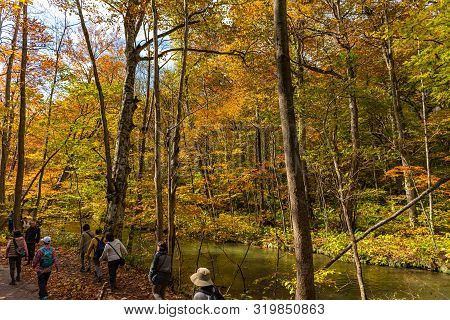 Oirase Stream, Beautiful Fall Foliage Scene Autumn Colors. Famous And Popular Destinations. Flowing 