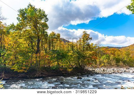 Oirase Stream In Sunny Day, Beautiful Fall Foliage Scene In Autumn Colors. Flowing River, Fallen Lea