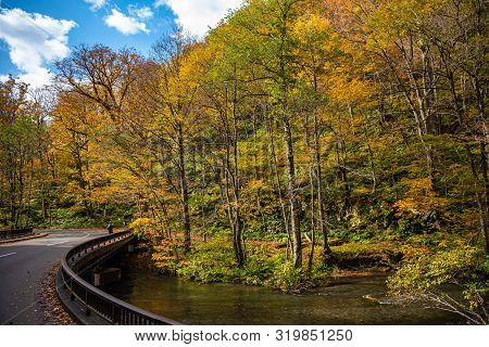 Oirase Stream In Sunny Day, Beautiful Fall Foliage Scene In Autumn Colors. Flowing River, Fallen Lea