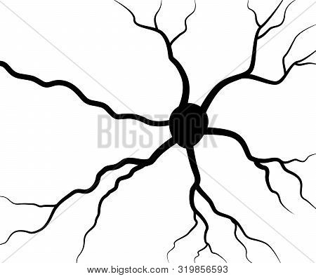 Black Human Neuron. Neural Network Technology Science Medicine Anatomy. Vector Illustration