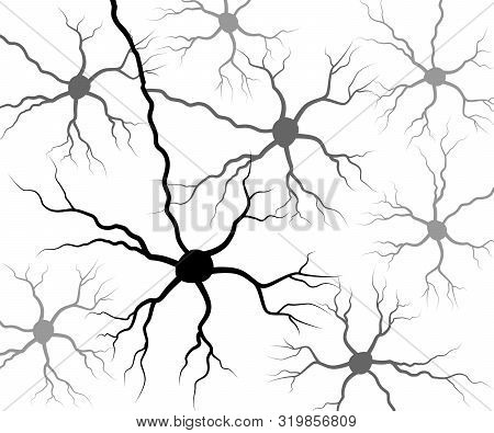Set Black Human Neuron. Neural Network Technology Science Medicine Anatomy. Vector Illustration