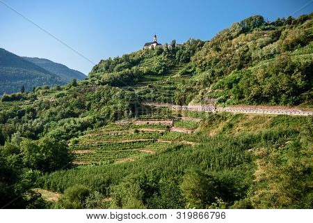 View Of The Val Di Cembra