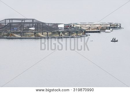 Fish Farm Salmon Nets Cages Floats In Sea Water Coast Environment Organic Farming At Loch Melfort Ar