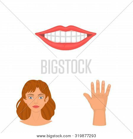 Isolated Object Of Body And Part Sign. Set Of Body And Anatomy Vector Icon For Stock.