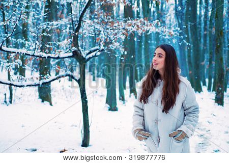 Winter Portrait Of Young Pretty Beautiful Woman In Cold Sunny Winter Weather In Park. Season Of Wint