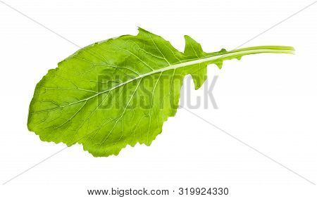 Fresh Leaf Of Kokabu Japanese White Salad Turnip Isolated On White Background