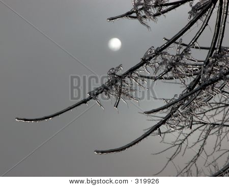 Ice & solen