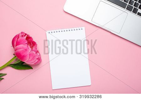 Piony Flower, Laptop And Notebook With Copy Space For Your Text On Pastel Pink Background.