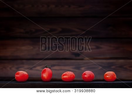 Five Small Bright Red Tomatoes In A Row With One Leader. Side View. Shelf Store Or Market. Backgroun