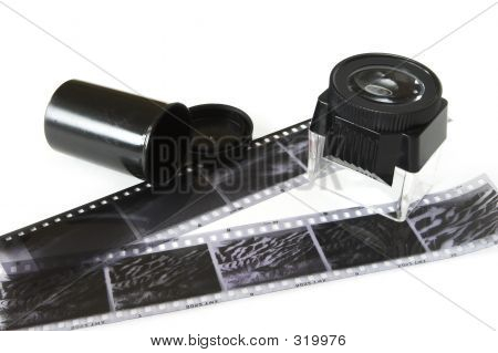 Film, Can, Lupa