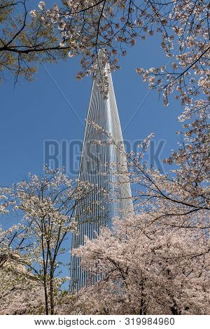 Seoul, South Korea - April 8, 2019 : View Of The Cherry Blossoms In Spring With Lotte World Tower At