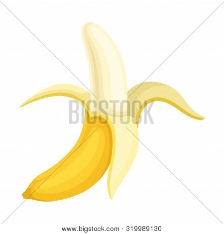Peeled Banana With Three Parts Of The Peel. Vector Illustration On A White Background.