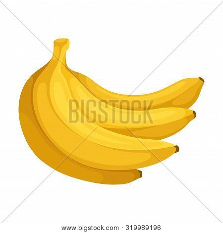 Bunch Of Bananas. Vector Illustration On A White Background.