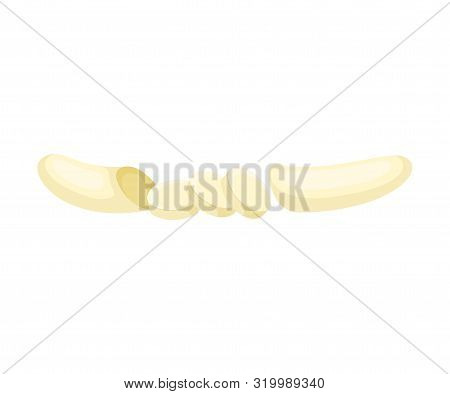 Peeled Banana Sliced In Circles. Vector Illustration On A White Background.