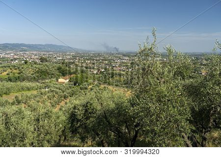 Rural Landscape From Buggiano Castello, Historic Town Near Pescia, Pistoia, Tuscany, Italy, With Oli