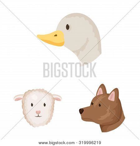 Vector Illustration Of Farm And Head Icon. Collection Of Farm And Homemade Vector Icon For Stock.